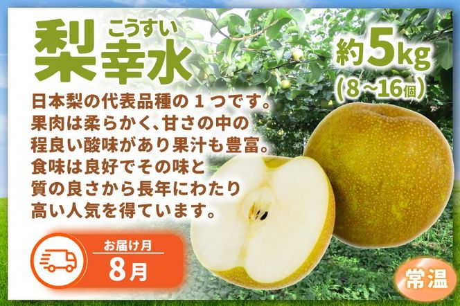 ＼旬なフルーツをお届け／ましこのフルーツ定期便 ＜年6回＞ | イチゴ ブルーベリー マンゴー 梨 ブドウ メロン 高級果物 フルーツ 新鮮 フレッシュ 旬 人気 ましこの果物 道の駅ましこ 果物 詰合せ セット 定期便 全6回 (AA043)