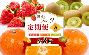 讃岐のフルーツ3回定期便【A】【さぬきひめ苺】【温室さぬき小原紅(紅みかん) 】【さぬきキウイっこ】