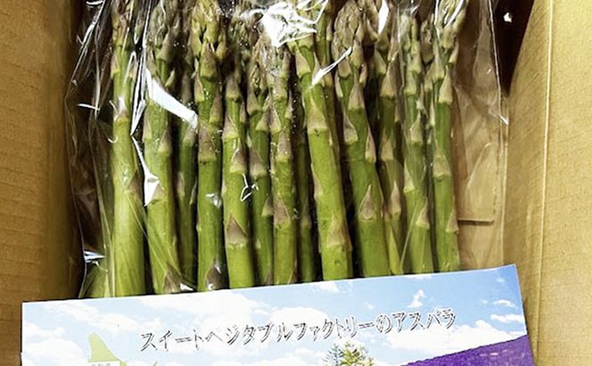 【2026年春発送】極太 グリーンアスパラ 2Lサイズ 1kg (スイートベジタブルファクトリー)