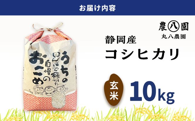 【予約】令和8年度産 静岡産 コシヒカリ 玄米 定期便 10kg×6カ月 米 コメ こしひかり コシヒカリ 袋井市 静岡県