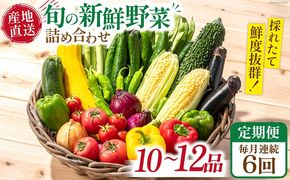 【6回定期便】毎月連続 旬の新鮮 野菜詰め合わせセット（10品～12品）/ 野菜 定期便 やさい 定期便 野菜セット やさいセット 春野菜 夏野菜 秋野菜 冬野菜 旬新鮮 / 南島原市 /長崎県農産品流通合同会社[SCB095]
