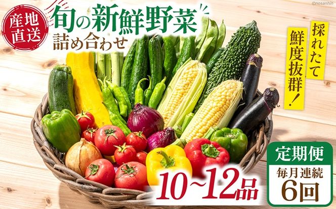 【6回定期便】毎月連続 新鮮 「旬の野菜・フルーツ」 詰め合わせ セット（10品〜12品）/ 野菜 定期便 やさい 定期便 野菜セット やさいセット 春野菜 夏野菜 秋野菜 冬野菜 旬新鮮 / 南島原市 /長崎県農産品流通合同会社[SCB095]