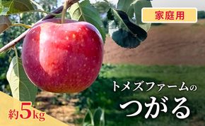 つがる（家庭用） 約5kg（15～20玉入り）トメズファーム　りんご　長野　信州　小諸　果物　フルーツ