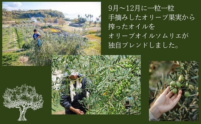 【 小豆島 】 小豆島産 食用 エクストラバージン オリーブオイル シルバーラベル 3本入 手摘み オリーブ オイル シルバーラベル 油 オリーブ油 食用油 調味料 ヘルシー 健康 香川 香川県 土庄 土庄町