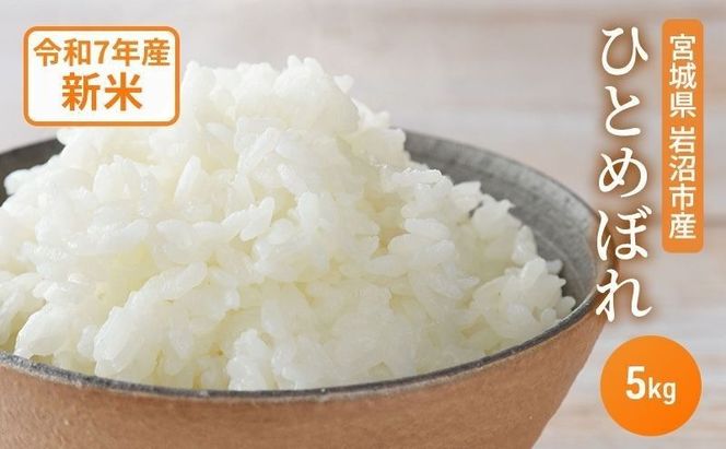 【 令和7年産 】米 ひとめぼれ 精米 5kg 