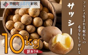 「数量限定訳あり品」じゃがいも「サッシー」Mサイズ・10kg BHRG059