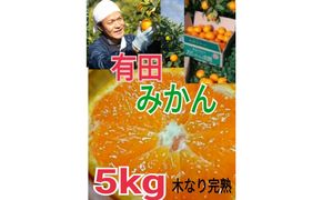 【ご家庭用】有田みかん  5kg （Ｓ～2Ｌサイズミックス）木成り完熟 大ちゃんの畑農園  CA12