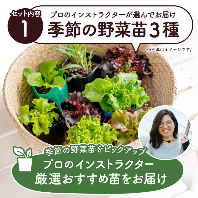 011BK01N.はじめての家庭菜園キット「サラダガーデン」（プランター色：ブラック）