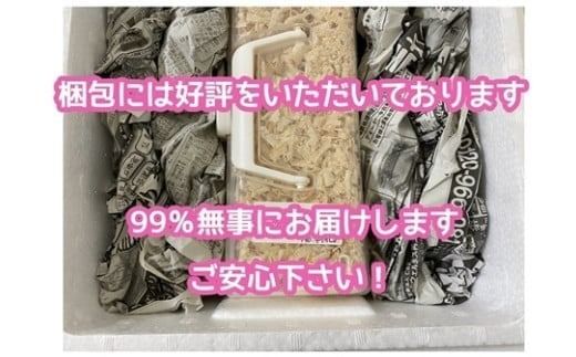 ヘラクレスオオカブト 成虫ペア オス（150mm台）メス（60mm以上） / ヘラクレス カブトムシ 昆虫 真庭市 生体 飼育 生き物 生物 岡山県【hrkrs001-01】