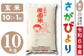 【令和6年産 新米】さがびより 玄米 10kg【米 お米 コメ 玄米 10kg おいしい ランキング 人気 国産 ブランド 地元農家】(H061352)