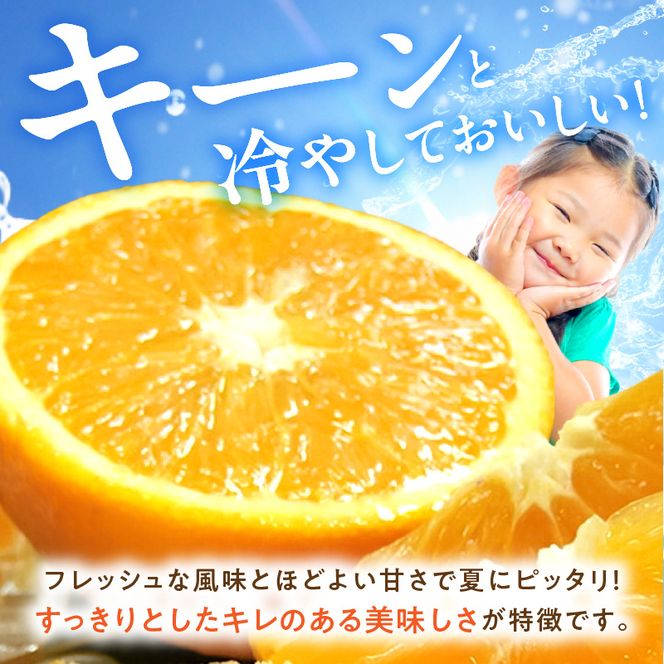 【2027年先行予約】バレンシアオレンジ [約7kg] 湯浅町田村産 (無選別・果実サイズ混合・ご家庭用) 春みかん / 紀伊国屋文左衛門本舗_V7079