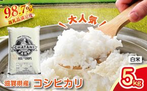 【新米】令和8年産　近江米　コシヒカリ 白米【5kg×1袋】【V011W2】（滋賀県　近江八幡市）