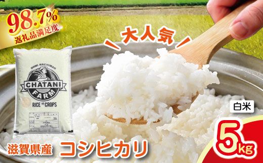 【新米】令和8年産　近江米　コシヒカリ 白米【5kg×1袋】【V011W2】（滋賀県　近江八幡市）