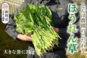 ほうれん草 3kg バラ詰め（大きな袋に3kg）【ハウス栽培 産地直送 クール便 佐賀県脊振山麓産】(H091118)