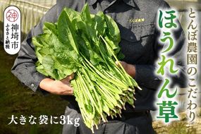 【先行受付 10月より順次発送】ほうれん草 3kg バラ詰め（大きな袋に3kg）【ハウス栽培 産地直送 クール便 佐賀県脊振山麓産】(H091118)