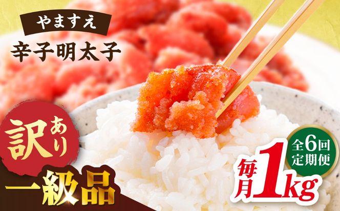 【 全6回 定期便 】 【 訳あり 】 辛子明太子 1kg × 6回 糸島市 / やますえ[AKA042]