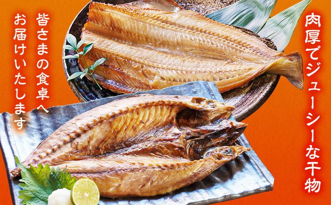 【2026年6月下旬発送】干物 おまかせ詰め合わせセット 3.5kg以上 干物 真ホッケ 干物 縞ホッケ サバ 干物 期間限定