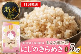 2026年11月発送【令和8年度産】群馬県千代田町産 にじのきらめき 5kg×1袋 (玄米) 群馬県 千代田町