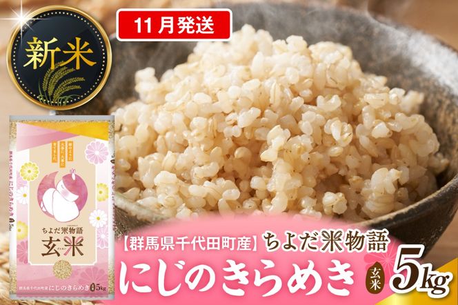 2026年11月発送【令和8年度産】群馬県千代田町産 にじのきらめき 5kg×1袋 (玄米) 群馬県 千代田町