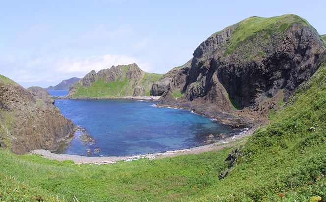 【返礼品なし】北海道 礼文町 ふるさと応援寄附金 50,000円コース ［北海道礼文町］【 寄附のみ 応援 支援 礼文島 地域貢献 自然保護 地方創生 まちづくり ふるさと納税 】