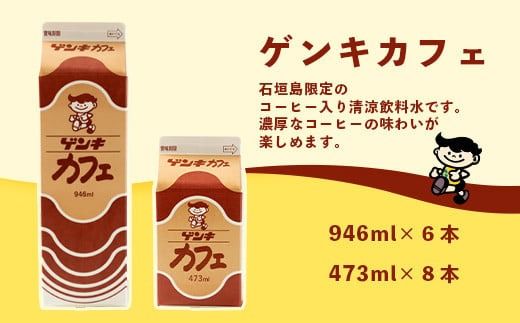 【ふるさと納税限定】ゲンキカフェバリューセット【八重山ゲンキ乳業】【日本最南端の乳業】【伊盛牧場産 生乳100％使用】GN-5-1