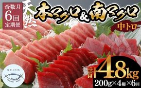 【６回定期便】本マグロ　南マグロ　中トロ　各２柵　奇数月にお届け　eb003