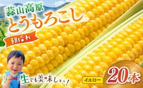 【先行予約】 朝採れ 蒜山高原 とうもろこし イエロー20本 | 7月下旬～8月上旬頃出荷予定 数量限定 人気 新鮮 スイートコーン トウモロコシ 高糖度 甘い 夏野菜 岡山県 真庭市 産地直送 ギフト 【配送不可地域：北海道／沖縄県／離島】【jujy002-02】