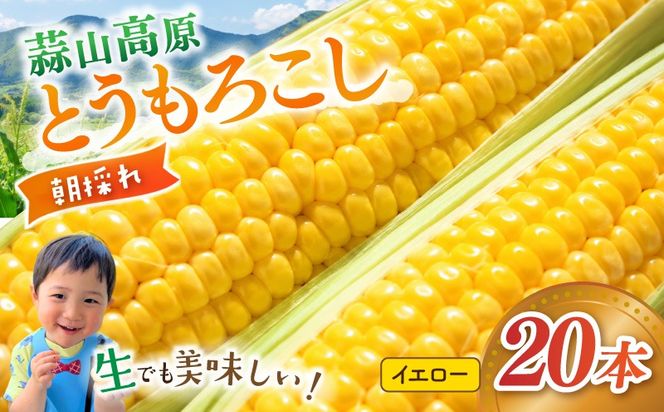 【先行予約】 朝採れ 蒜山高原 とうもろこし イエロー20本 | 7月下旬～8月上旬頃出荷予定 数量限定 人気 新鮮 スイートコーン トウモロコシ 高糖度 甘い 夏野菜 岡山県 真庭市 産地直送 ギフト 【配送不可地域：北海道／沖縄県／離島】【jujy002-02】