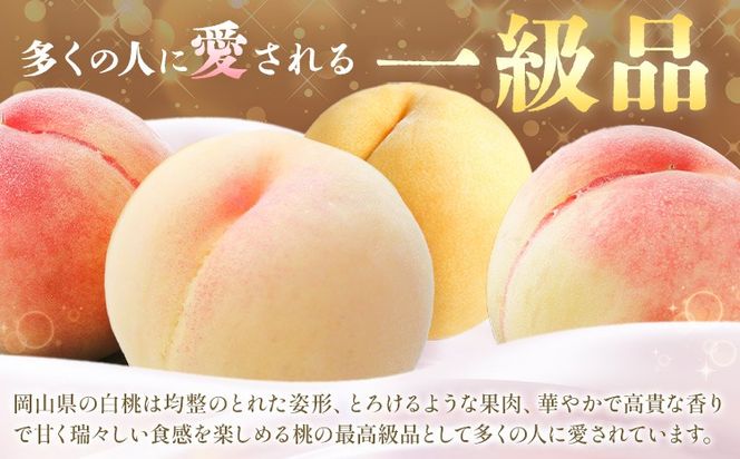 【2026年発送先行予約】桃 3ヶ月 計10回 定期便 岡山 の 桃 十撰 10種 各1kg 計10kg 晴れの国おかやま館(漂流岡山)《2026年7月中旬-9月下旬頃出荷》岡山県 笠岡市 桃 もも 果物 フルーツ デザート 送料無料 【配送不可地域あり】（離島）---H-53---