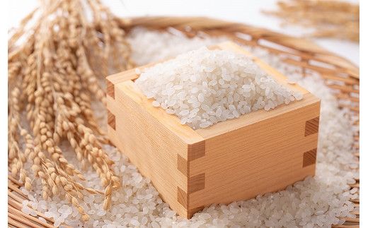 【特別栽培米】頂米 金兵衛 魚沼産従来コシヒカリ（精米）1kg お米 コメ 