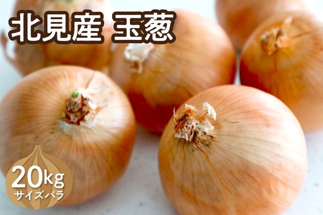 【予約：2026年10月下旬から順次発送】北見産玉ねぎ 20kg ( 機能性玉葱 サイズバラ 玉ねぎ たまねぎ タマネギ 玉葱 オニオン ケル玉 野菜 北海道 長期貯蔵 )【133-0002-2026】