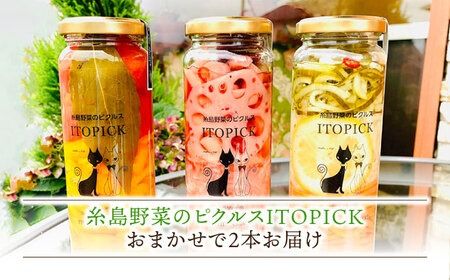 【 全6回 定期便 】 糸島 野菜 を 食べる 生 ドレッシング 5本 / コンフィチュール 4個 / バター 2個 / ピクルス 2本 《糸島》【糸島正キ】 [AQA018]