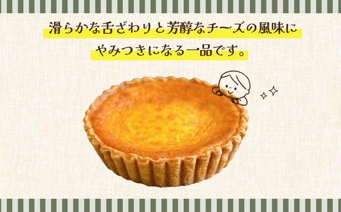 【2026年1月～発送】人気 スイーツセット プレミアム チーズタルト バターサンド 8個 セット / タルト 15cm ケーキ チーズ バターサンド 南島原市 / アトリエジジ[SAA033]