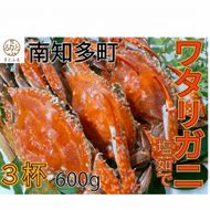 ワタリガニ 600g 3杯 冷凍 ボイルワタリガニ 渡り蟹 海鮮 新鮮 魚介 海の幸 海産物 シーフードエム・エム 愛知県 南知多町
