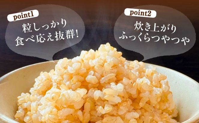 ＼大容量／ あいちのかおり 玄米 30kg お米 玄米 愛西市 / 日栄トラクター【配送不可地域：北海道・沖縄・離島】[AEDM001]