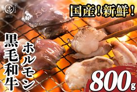 国産黒毛和牛ホルモン 焼肉用 (400g×2P計800g) a1-153