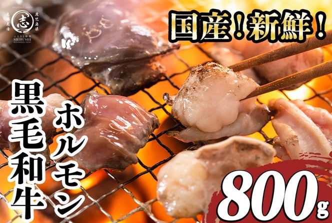 国産黒毛和牛ホルモン 焼肉用 (400g×2P計800g) a1-153