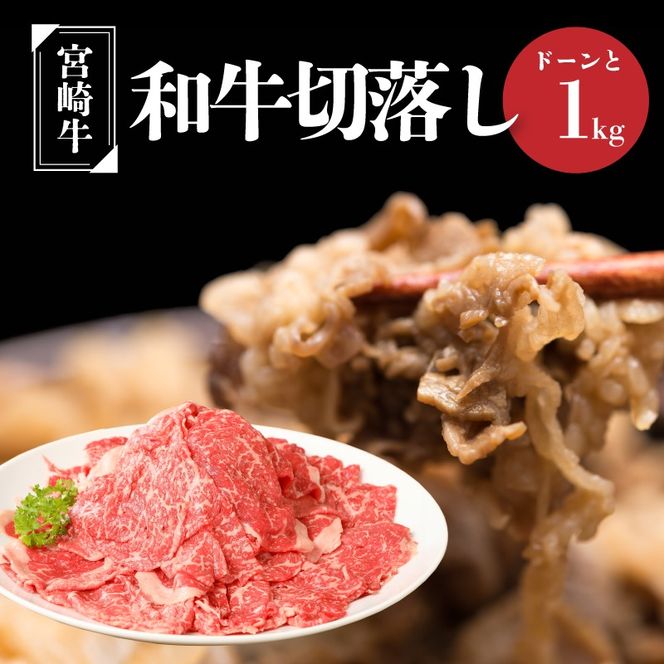＜宮崎牛　和牛　切り落とし1kg＞ K01_0011_1