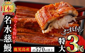 鹿児島県産うなぎ蒲焼 名水慈鰻 特大3尾(1尾190g以上)＜計570g以上＞ b1-023