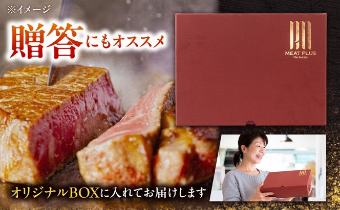 【A4〜A5】長崎和牛 ヒレステーキ 100g / 希少部位 赤身 ひれ フィレ ふぃれ 牛肉 / 南島原市 / 株式会社MEAT PLUS[SHG011]
