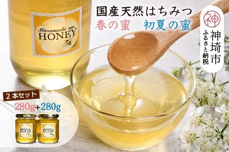 【春の蜜 & 初夏の蜜セット】2024年産 国産天然蜂蜜 春の蜜280g & 初夏の蜜280g【合計560g】【蜂蜜 パンケーキ ヨーグルト 甘み フルーティ とろとろ】(H049129)