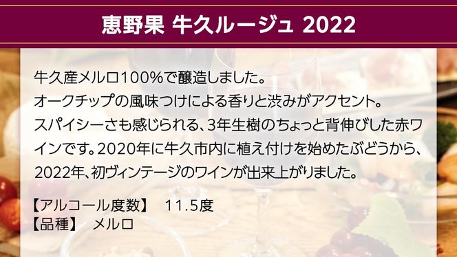 恵野果 牛久ルージュ 2022・恵野果　牛久ブラン 2022 の 750ml×2本セット 茨城県産 牛久醸造場 日本ワイン ワイン 赤ワイン 白ワイン 750ml ミディアムボディ お酒 贈り物 葡萄 ぶどう [BJ059us]