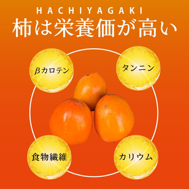 【2026年11月より順次発送】行方市産 蜂屋柿 約2.8kg｜柿 先行予約 茨城県（CP-16）