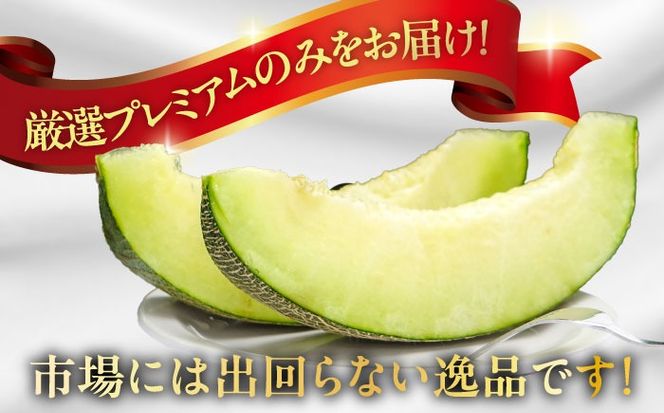 【2026年7月上旬〜発送】【平成新山メロンPREMIUM（とみちゃん厳選）】グリーンメロン 2玉 / メロン めろん 果物 フルーツ / 南島原市 / うえだメロン園 [SAD003] 