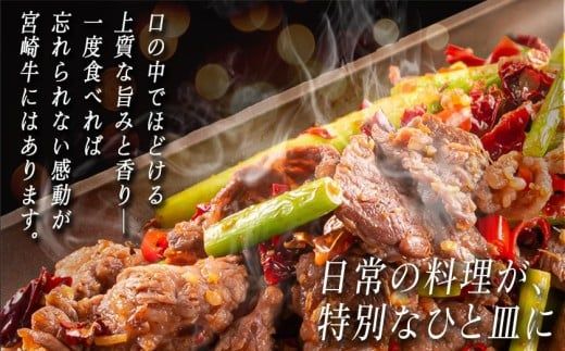 宮崎牛赤身切り落とし1.8kg_AC-2505_(都城市) 牛肉 牛 ブランド牛 赤身 ウデ モモ 切り落とし 300g×6パック 都城産 ウデ モモ 冷凍 うす切り 便利 炒め 煮込み 