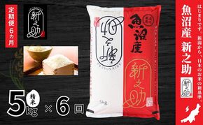 米 定期便 6ヶ月 新之助 5kg 精米 白米 お米 新潟米新之助  新潟米 新潟 十日町市 定期 6回