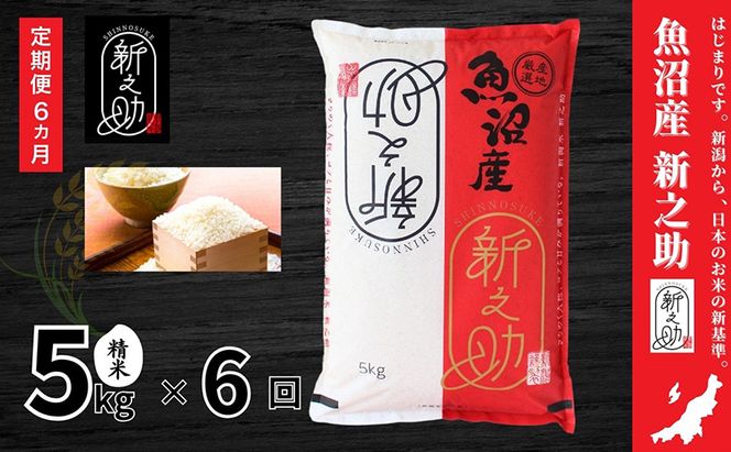 米 定期便 6ヶ月 新之助 5kg 精米 白米 お米 新潟米新之助  新潟米 新潟 十日町市 定期 6回