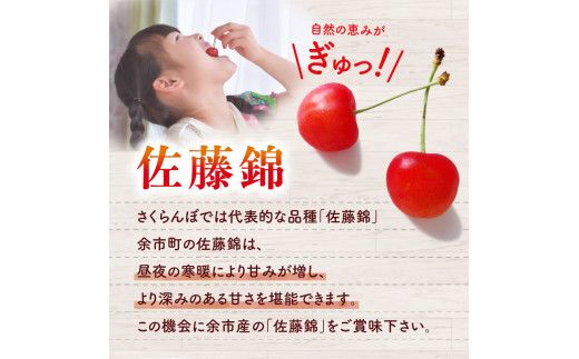 【先行受付：2026年7月初旬以降発送分】さくらんぼ（佐藤錦） 1kg 北海道 余市 余市町農業協同組合 フルーツ デザート 果物 季節限定 グルメ とれたて 甘み 鮮やかな紅色 冷蔵 お取り寄せ_Y010-0656