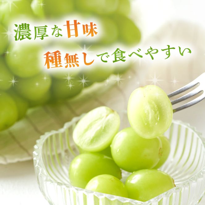 ぶどう 2026年 先行予約 ご家庭用 シャイン マスカット 2～3房 合計約1.2kg ブドウ 葡萄  岡山県産 国産 フルーツ 果物 ギフト