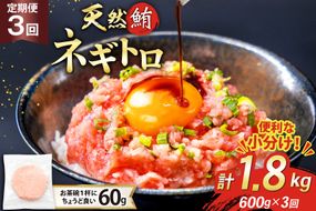 3回 定期便 天然 マグロ ネギトロ まぐろたたき 冷凍 60g 10個 計600g [トライ産業 静岡県 吉田町 22424389] 小分け 個包装 まぐろのたたき 鮪 まぐろ ネギトロ丼 ねぎとろ マグロたたき
